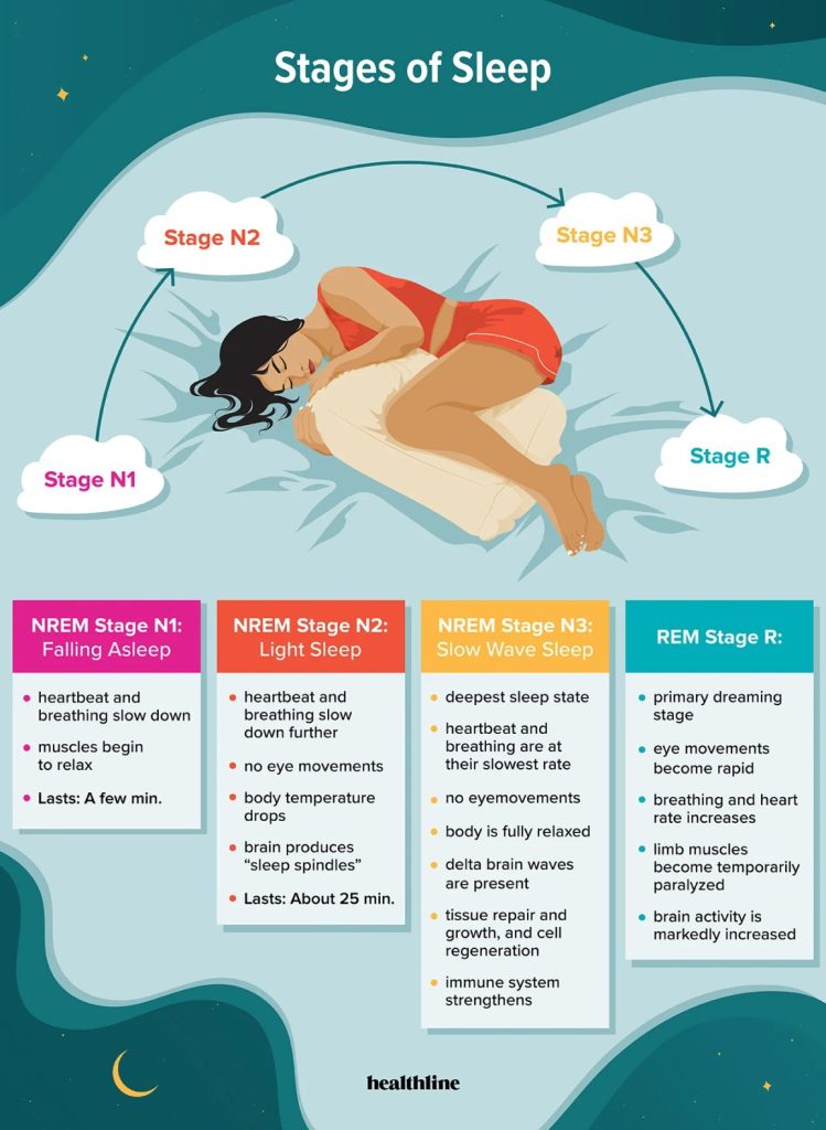 What Are The Stages Of Sleep?