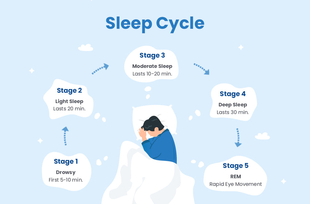What Are The Stages Of Sleep?