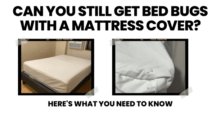 can bed bugs get through mattress protector 2
