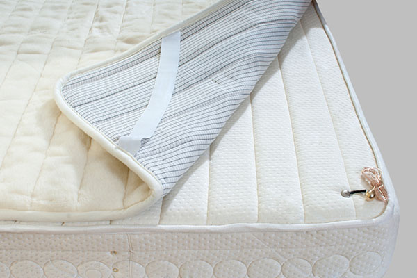 Can Bed Bugs Get Through Mattress Protector?